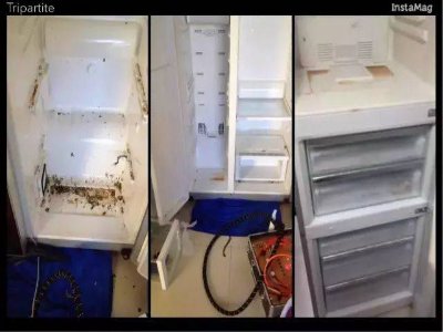 渝中區(qū)韓電冰箱維修電話