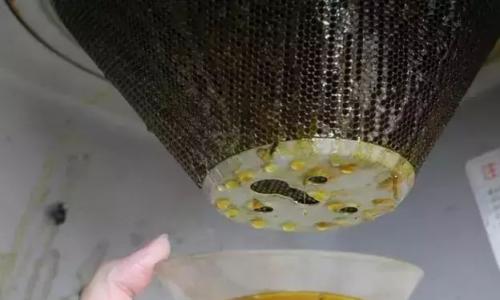 北碚區(qū)創(chuàng)爾特抽油煙機(jī)維修服務(wù)電話