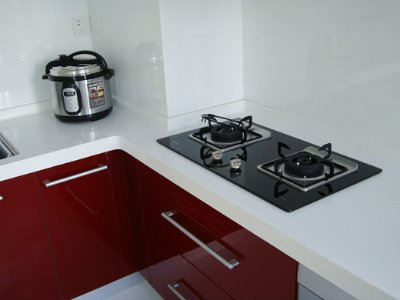 萬和換燃氣灶感應針多少錢