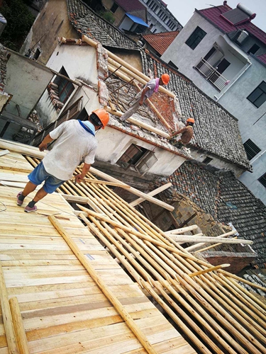 木制房屋生蟲子怎么治