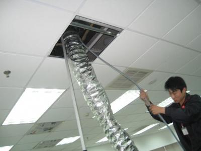 從下水道上來的蛇回自己回去嗎